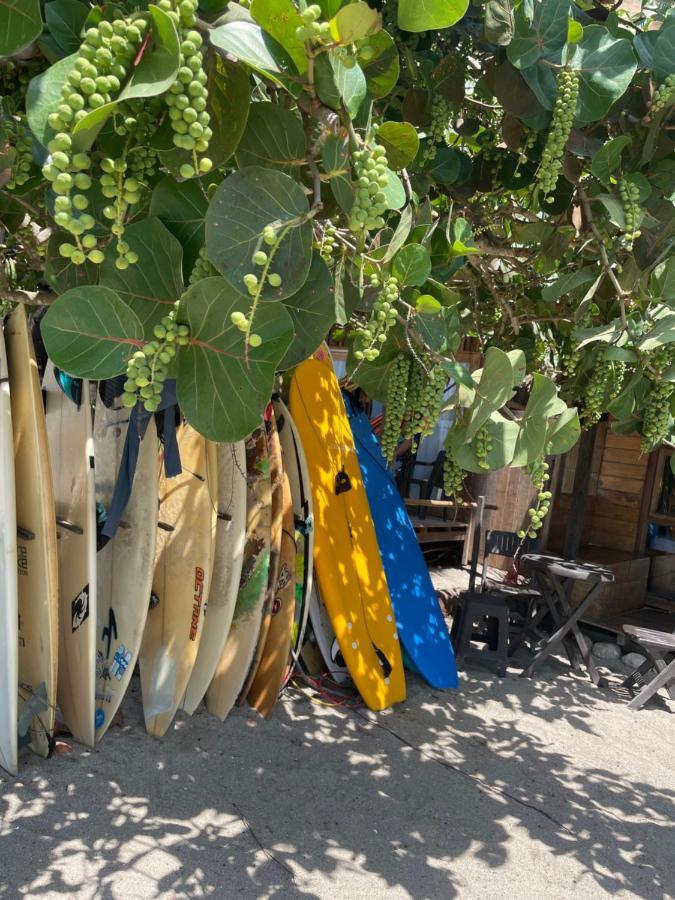 ホテル Chill And Surf Mendihuaca Guachaca エクステリア 写真